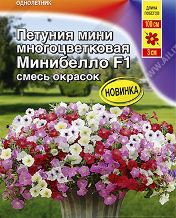 

петуния мини минибелло f1, смесь окрасок® семена, петуния мини минибелло f1, смесь окрасок® семена купить