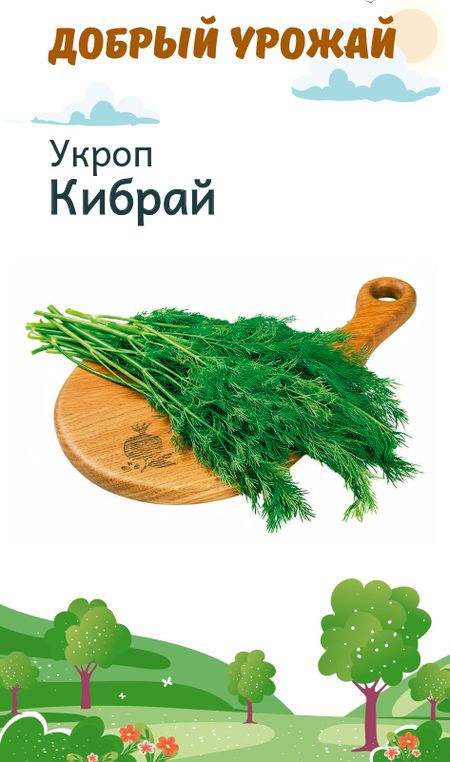 Укроп Кибрай