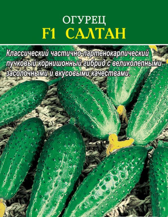 Огурец F1 Салтан