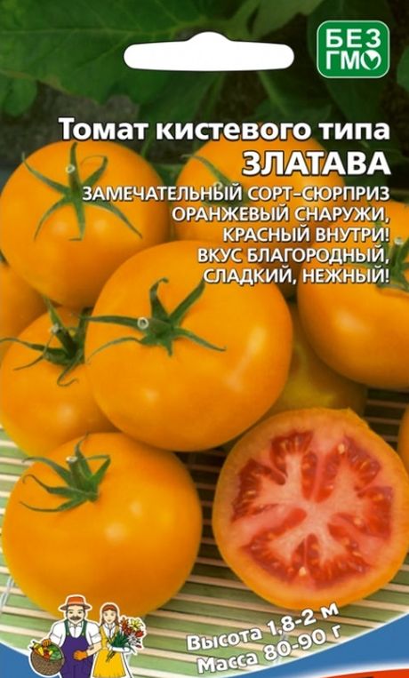 

томат златава кистевого типа семена, томат златава кистевого типа семена купить