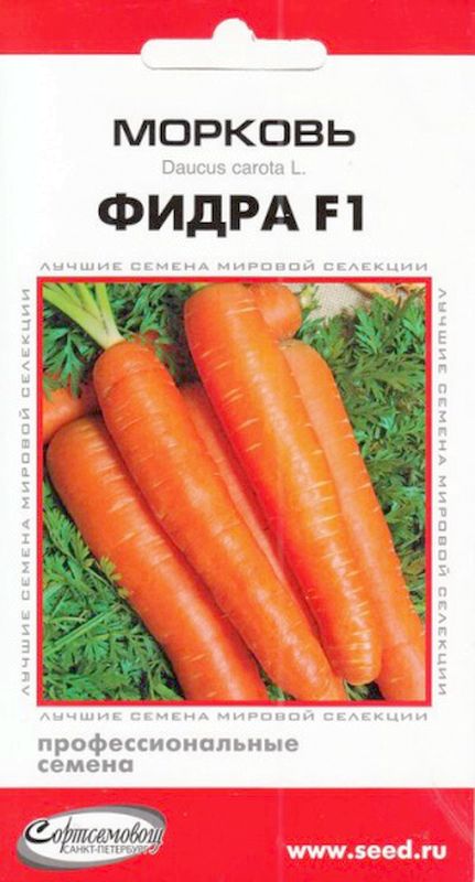 

морковь фидра f1 семена, морковь фидра f1 семена купить