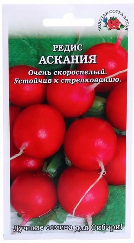 

редис аскания семена, редис аскания семена купить