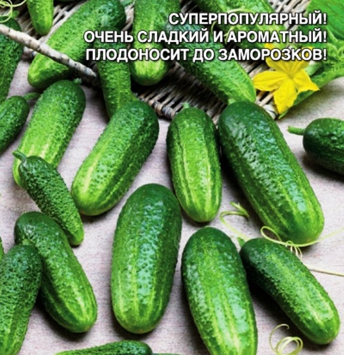 Огурец Внучок F1