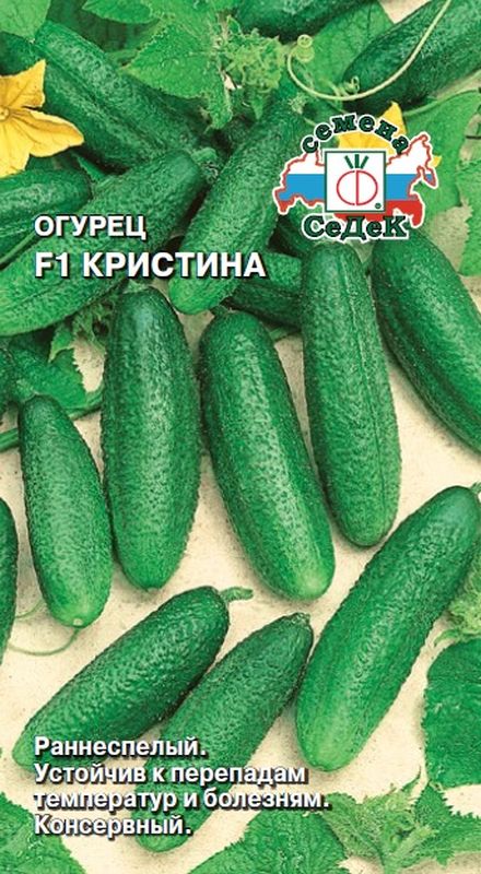 

огурец f1 кристина семена, огурец f1 кристина семена купить