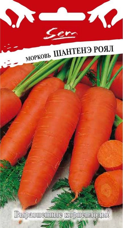 

морковь шантенэ роял семена, морковь шантенэ роял семена купить