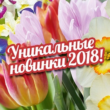 Уникальные новинки 2018