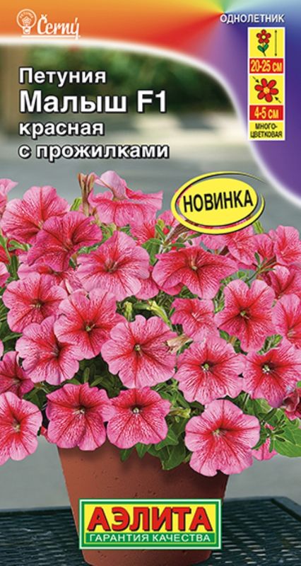 

петуния мини малыш f1 красная с прожилками многоцветковая семена, петуния мини малыш f1 красная с прожилками многоцветковая семена купить