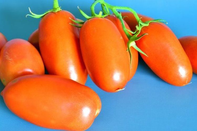 Помидоры Пальчики Фото