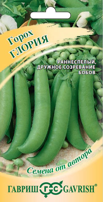 

горох глория . семена, горох глория . семена купить
