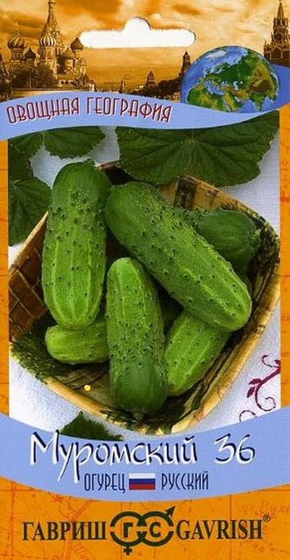 

огурец муромский 36 серия география семена, огурец муромский 36 серия география семена купить