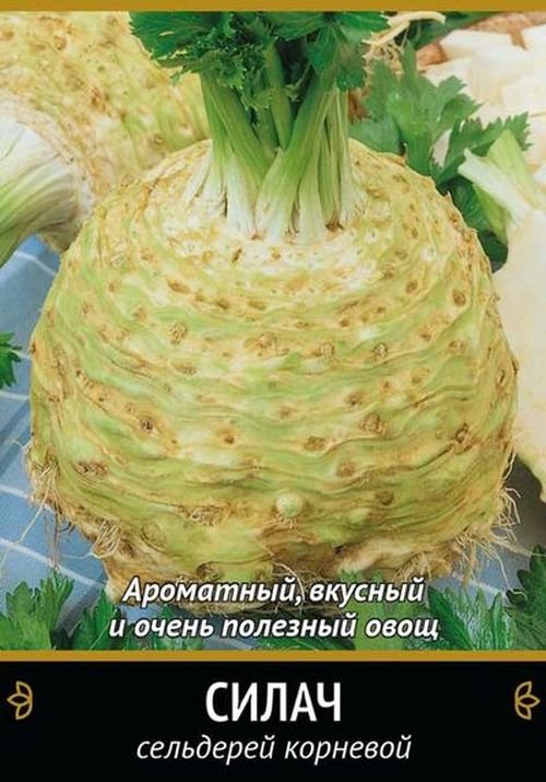Сельдерей корневой Силач