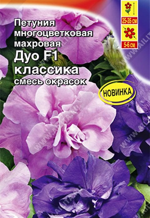 

петуния дуо классика f1 многоцветковая махровая, смесь окрасок семена, петуния дуо классика f1 многоцветковая махровая, смесь окрасок семена купить