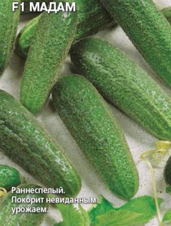 Огурец F1 Мадам