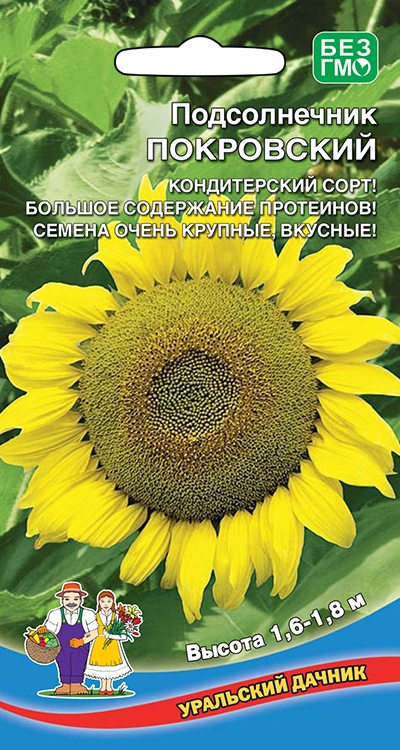 Подсолнечник Покровский