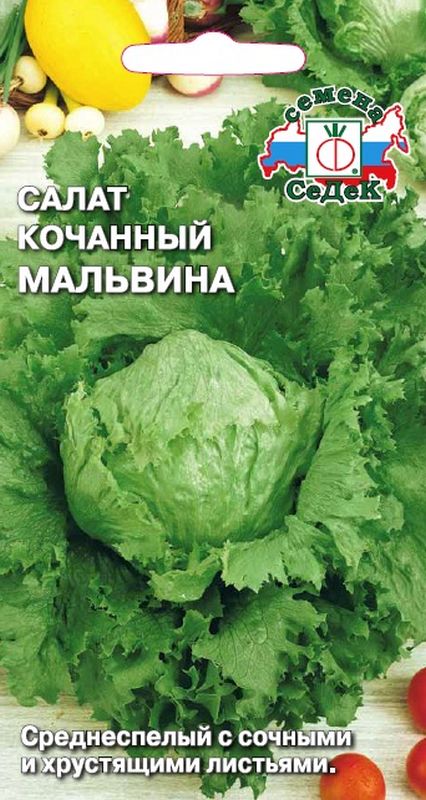 

салат кочанный мальвина семена, салат кочанный мальвина семена купить