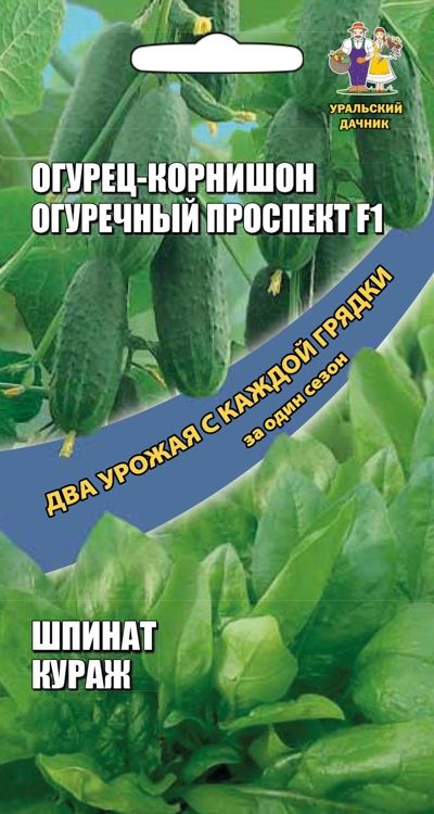 

огурец огуречный проспект f1 + шпинат кураж семена, огурец огуречный проспект f1 + шпинат кураж семена купить