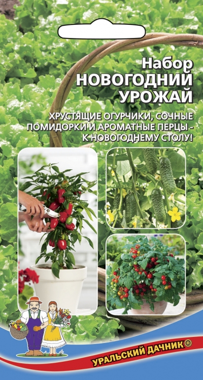 

набор новогодний урожай семена, набор новогодний урожай семена купить