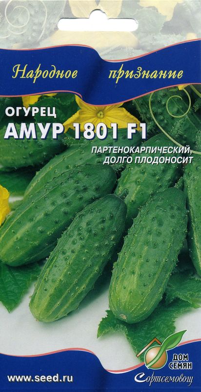 

огурец амур 1801 f1 семена, огурец амур 1801 f1 семена купить