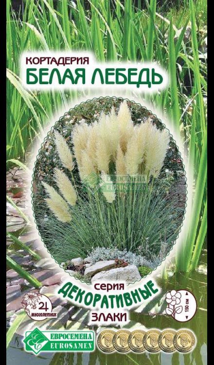 

кортадерия белая лебедь семена, кортадерия белая лебедь семена купить