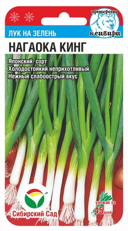 

лук на зелень нагаока кинг семена, лук на зелень нагаока кинг семена купить