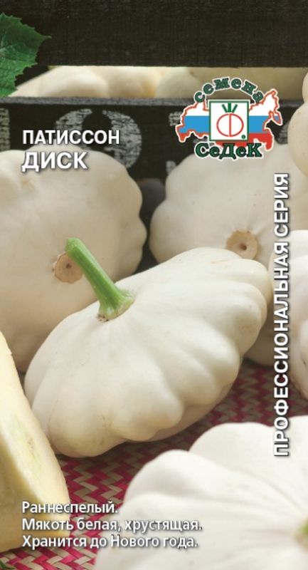 

патиссон диск семена, патиссон диск семена купить