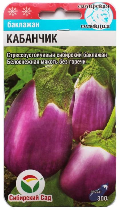 

баклажан кабанчик семена, баклажан кабанчик семена купить