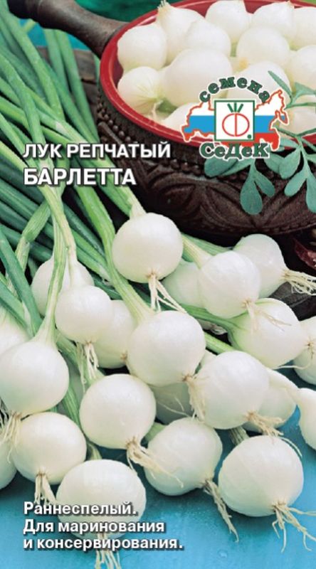 

лук репчатый барлетта семена, лук репчатый барлетта семена купить