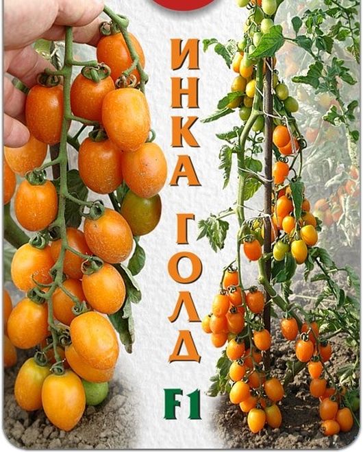Томат Инка Голд F1
