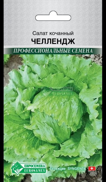 Салат кочанный Челлендж