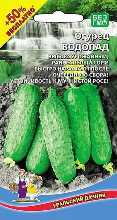 

огурец водопад семена, огурец водопад семена купить