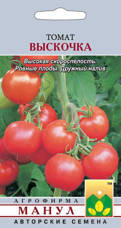 

томат выскочка семена, томат выскочка семена купить