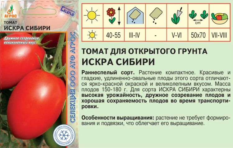Сорт томатов краса сибири. Томат искры пламени. Томат Краса Сибири.