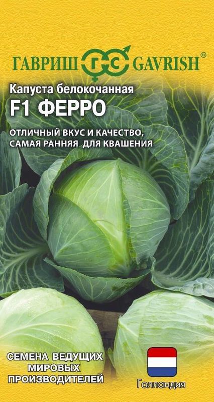 

капуста б/к ферро f1 семена, капуста б/к ферро f1 семена купить