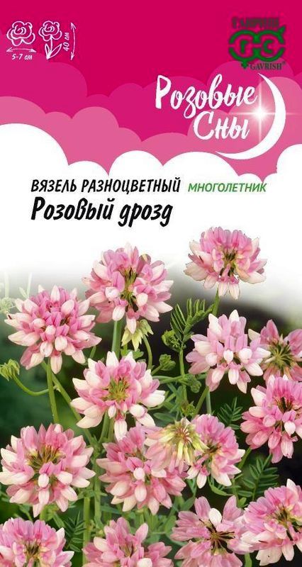 

вязель разноцветный розовый дрозд семена, вязель разноцветный розовый дрозд семена купить