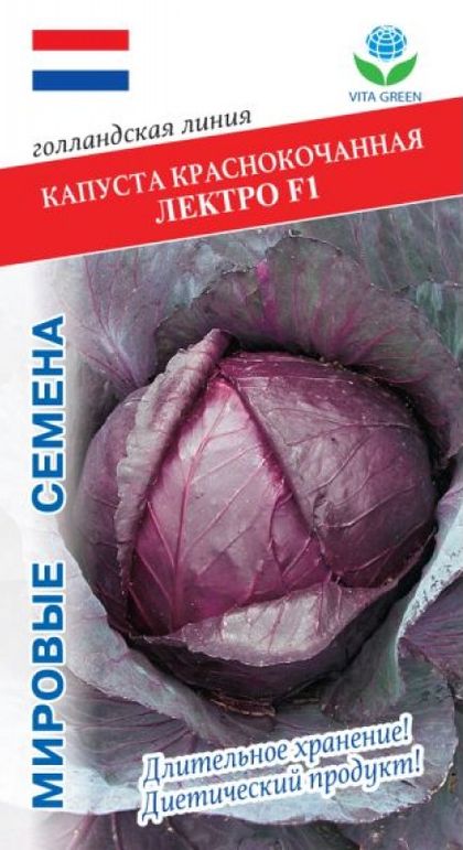 Капуста к/к Лектро F1