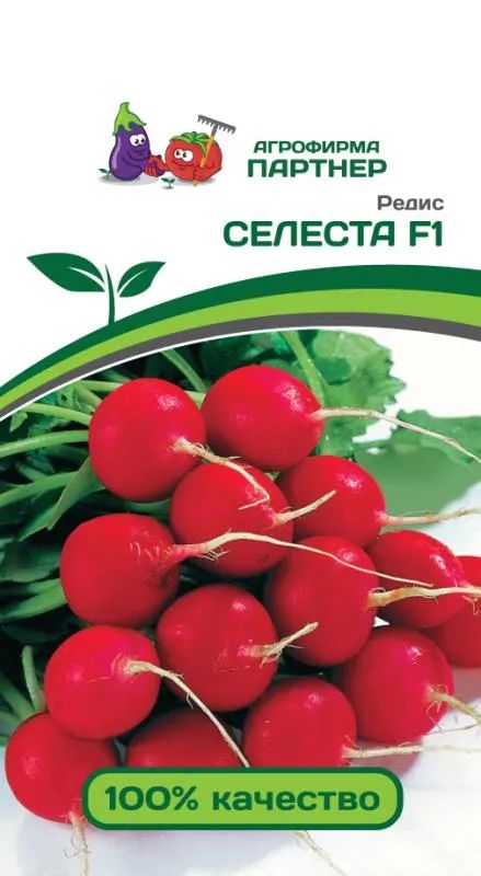 

редис селеста f1 семена, редис селеста f1 семена купить