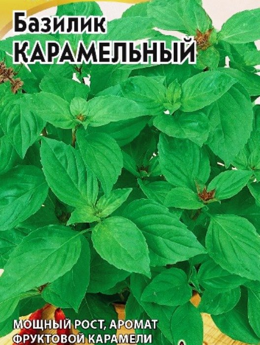 

базилик карамельный семена, базилик карамельный семена купить