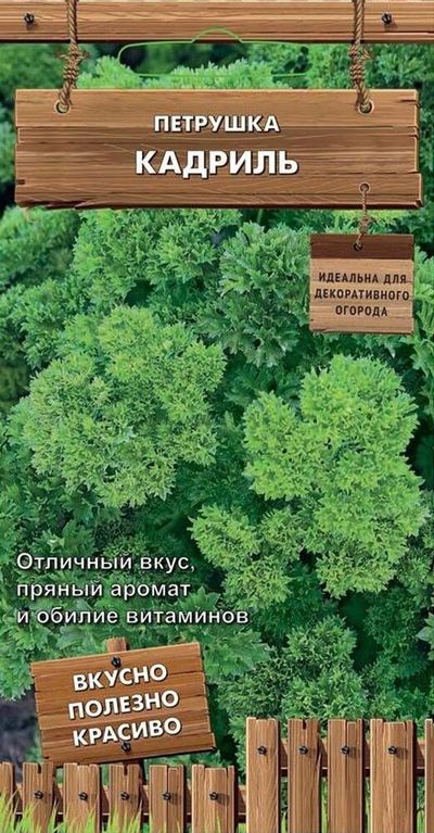 Петрушка Кадриль