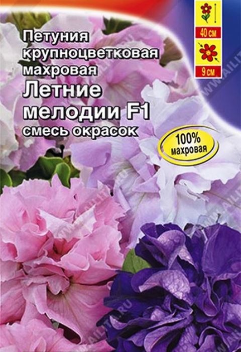 

петуния летние мелодии f1 крупноцветковая махровая, смесь окрасок семена, петуния летние мелодии f1 крупноцветковая махровая, смесь окрасок семена купить