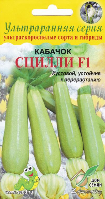 Кабачок Сцилли