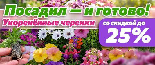 Вегетативная коллекция!