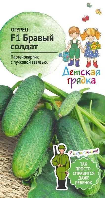 

огурец бравый солдат семена, огурец бравый солдат семена купить