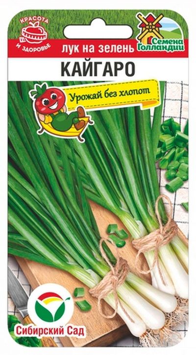 

лук на зелень кайгаро семена, лук на зелень кайгаро семена купить