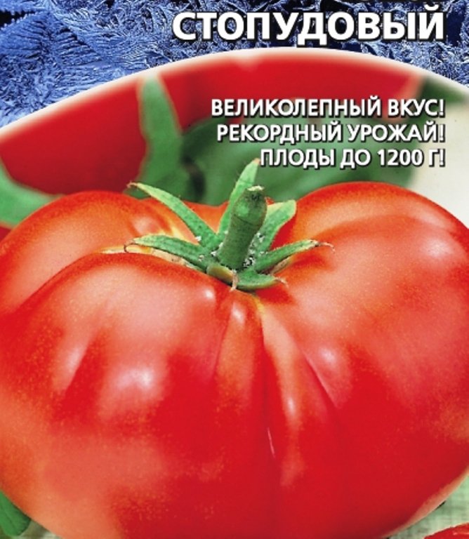 

томат стопудовый семена, томат стопудовый семена купить