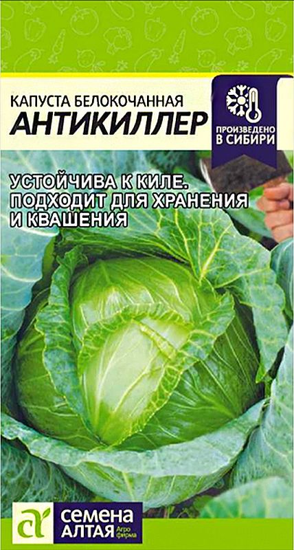 

капуста б/к антикиллер семена, капуста б/к антикиллер семена купить