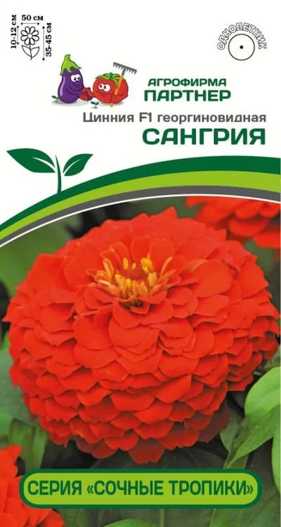 Цинния георгиновидная F1 Сангрия