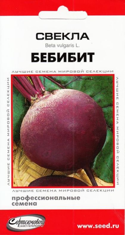 Купить Семена Свеклы Рафинад