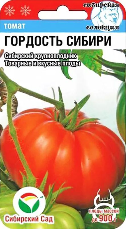

томат гордость сибири семена, томат гордость сибири семена купить