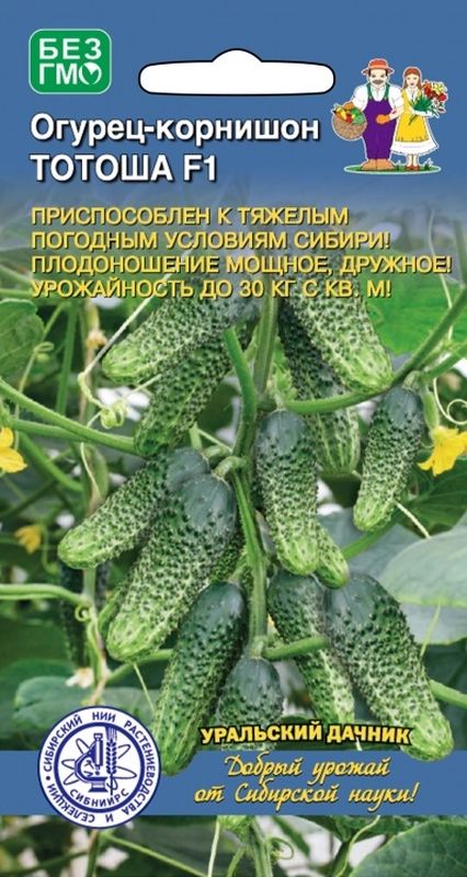 

огурец тотоша семена, огурец тотоша семена купить