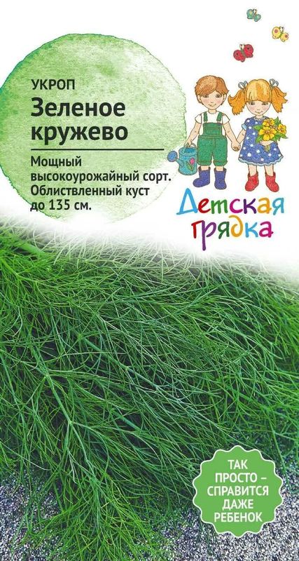 

укроп зеленое кружево семена, укроп зеленое кружево семена купить